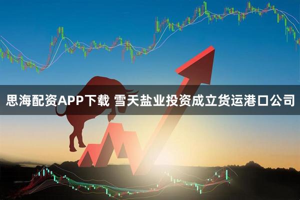 思海配资APP下载 雪天盐业投资成立货运港口公司