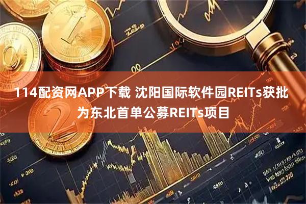 114配资网APP下载 沈阳国际软件园REITs获批 为东北首单公募REITs项目