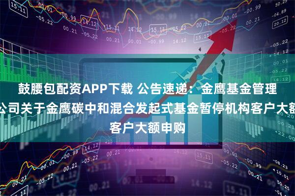 鼓腰包配资APP下载 公告速递：金鹰基金管理有限公司关于金鹰碳中和混合发起式基金暂停机构客户大额申购