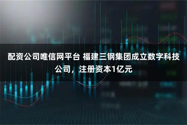 配资公司唯信网平台 福建三钢集团成立数字科技公司，注册资本1亿元