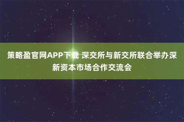策略盈官网APP下载 深交所与新交所联合举办深新资本市场合作交流会