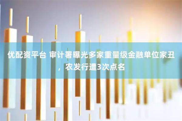 优配资平台 审计署曝光多家重量级金融单位家丑，农发行遭3次点名