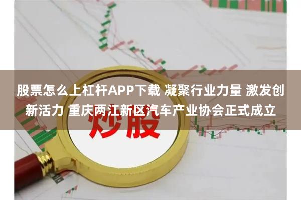 股票怎么上杠杆APP下载 凝聚行业力量 激发创新活力 重庆两江新区汽车产业协会正式成立
