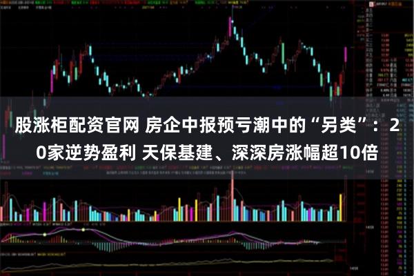 股涨柜配资官网 房企中报预亏潮中的“另类”：20家逆势盈利 天保基建、深深房涨幅超10倍