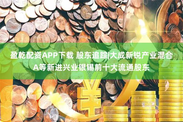 盈乾配资APP下载 股东追踪|大成新锐产业混合A等新进兴业银锡前十大流通股东