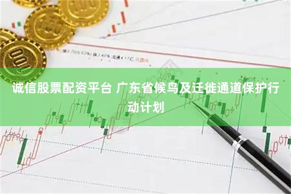 诚信股票配资平台 广东省候鸟及迁徙通道保护行动计划