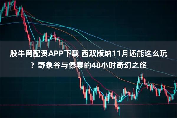 股牛网配资APP下载 西双版纳11月还能这么玩？野象谷与傣寨的48小时奇幻之旅